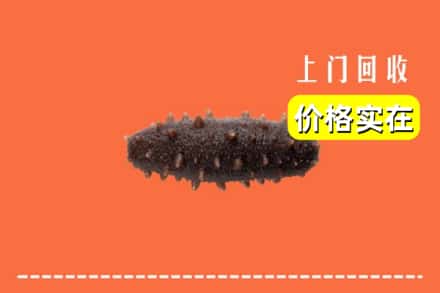 涿州市回收海参